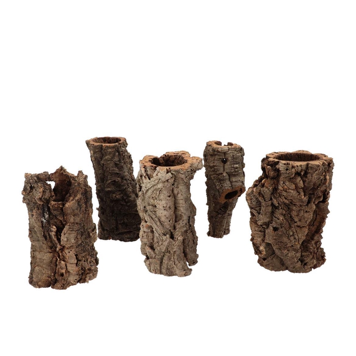 <h4>Nature Cork Tubes S/5 4-13x20cm</h4>