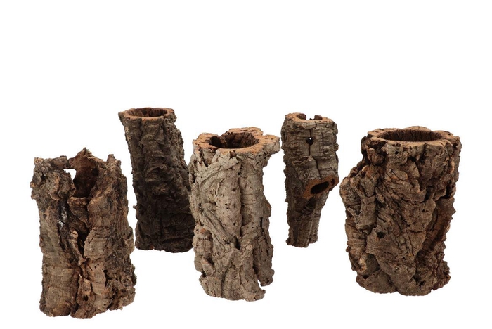 Nature Cork Tubes S/5 4-13x20cm