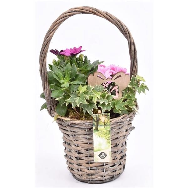 <h4>Wilg hengselmand gy 17cm</h4>