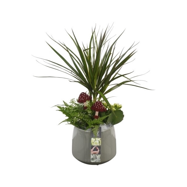 <h4>PTHI5534 Arrangement Herfst Indoor in keramiek pot</h4>