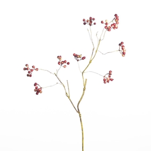 AF Berry Br Curly L72cm Rd/C