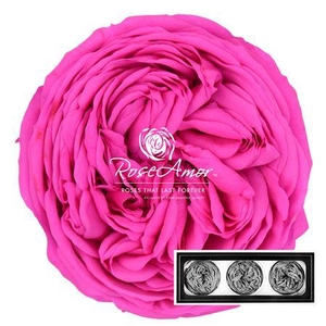 Kabukyza Per 3 Pin07