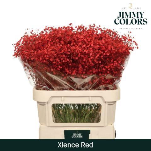 <h4>Gyps Xlence L80 Red</h4>