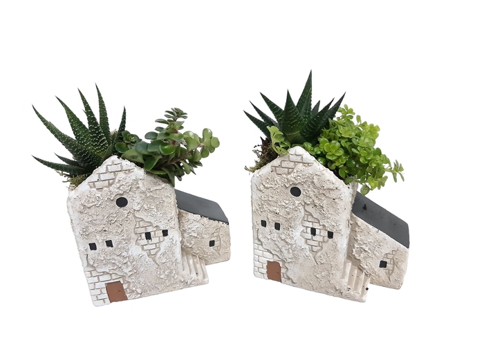 <h4>Arr.   Kamerplant Groen L%</h4>