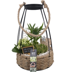 PTIB6602 Arrangement Indoor in touw mand met metaal