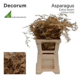 Asp extra veren Antique gold