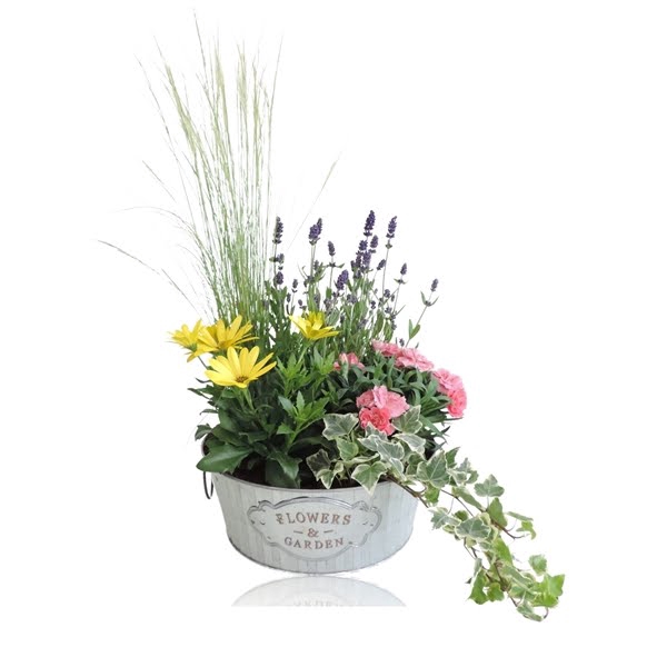 <h4>Collectie Dex Arrangement in Zinken Schaal 25 cm</h4>