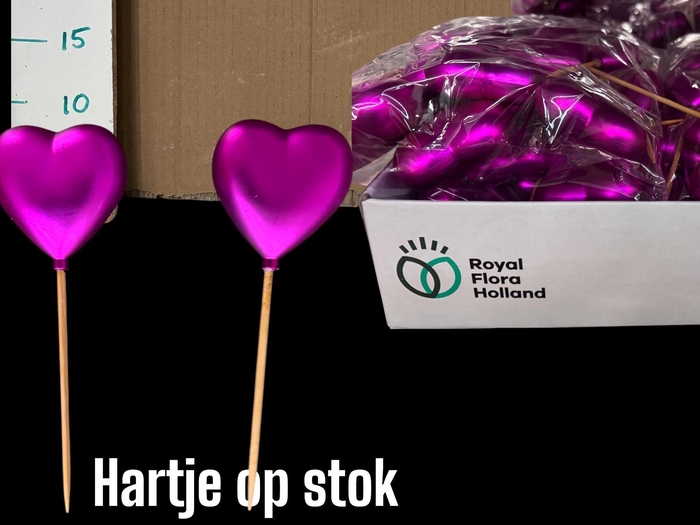 <h4>HARTJE OP STOK H%</h4>