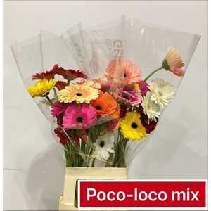 Gerbera Mix Spring Water x40