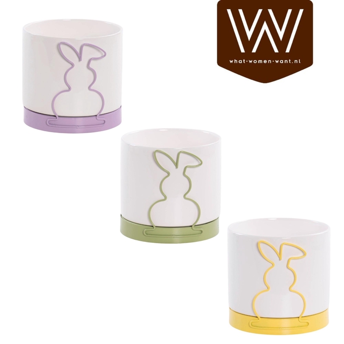 <h4>HUIS EN TUINDECO H%</h4>