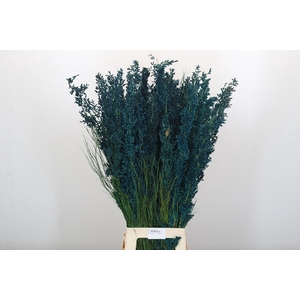 Bell Reed Male painted blue