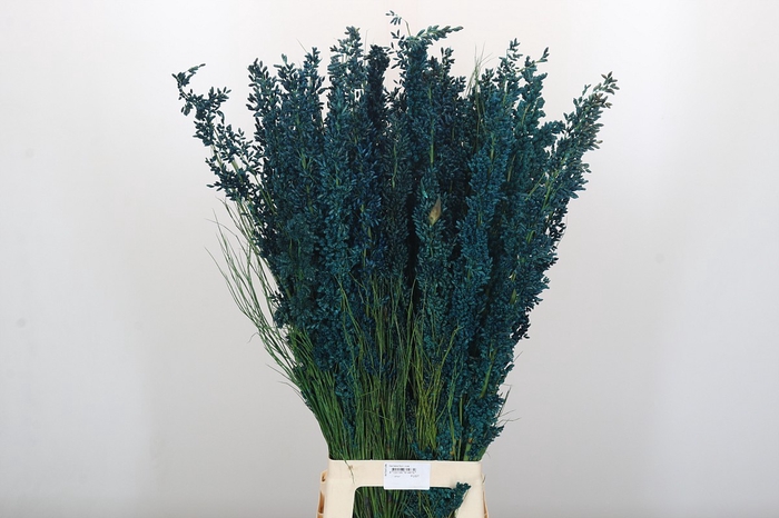 <h4>Bell Reed Male painted blue</h4>