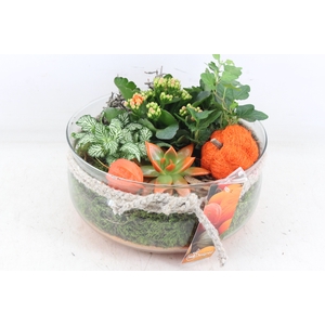 arr2 MB - Glas schaal touw L x2 - oranje