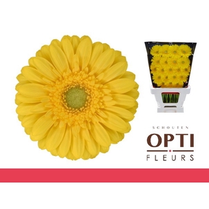 GE MI EMOJI-Diamond*20