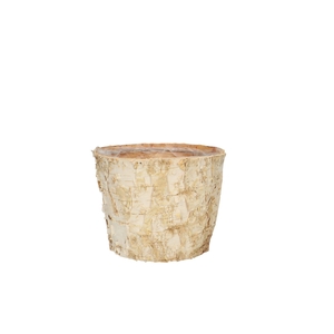 Wood Birch pot d13*10cm