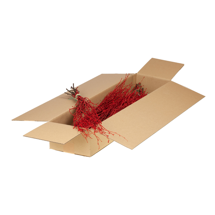 <h4>Birch 60cm Sb Red R Glt</h4>