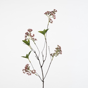 AF Anthriscus wire L72cm D.pi