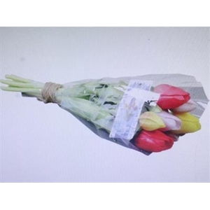 3114 Kunst Tulp Geel/rood