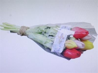 <h4>3114 Kunst Tulp Geel/rood</h4>