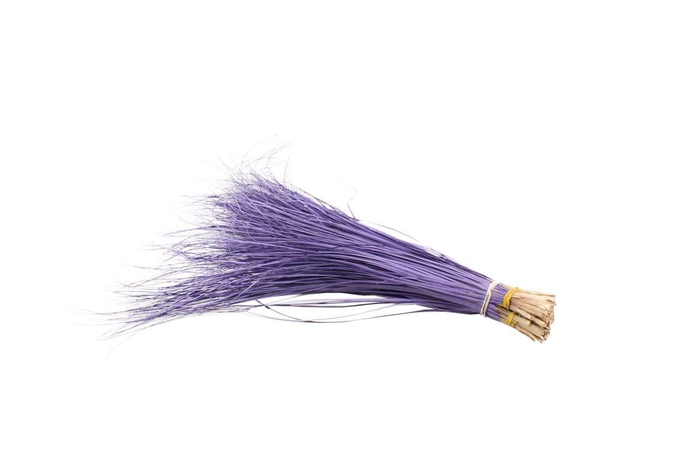 <h4>Beargrass Milka</h4>