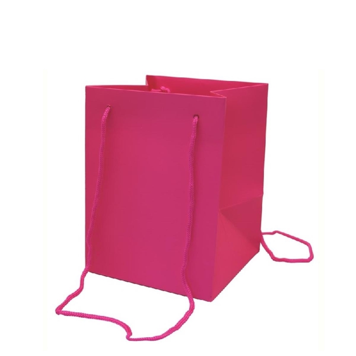 Tassen Olympic 25*18*18cm
