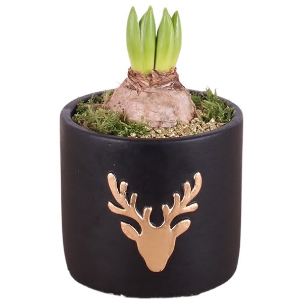 <h4>Christmas Arr.Hyacint Ceramic Pot round reindeer black ø11cm 1PP</h4>