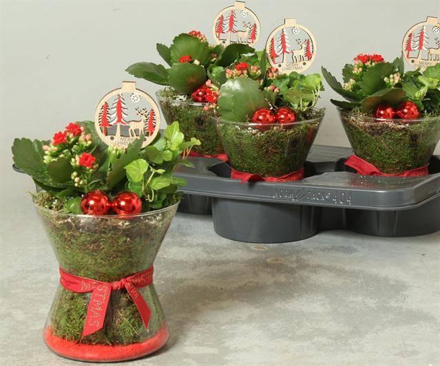 <h4>ARR KAMERPL</h4>