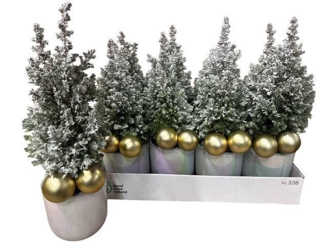 <h4>KERSTBOOM VERSIERD</h4>