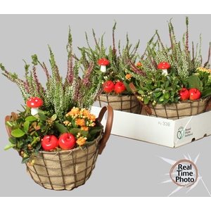 ARR TUINPLANTEN