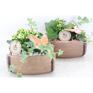 arr2 PL - Ker. ton liggend 250/4 - roze/wit