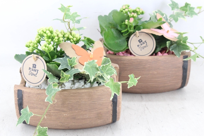 <h4>arr2 PL - Ker. ton liggend 250/4 - roze/wit</h4>