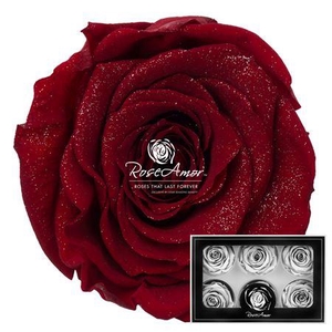Lplus Diamond Dust Red01