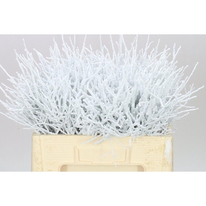 Vac Huck Flocked White