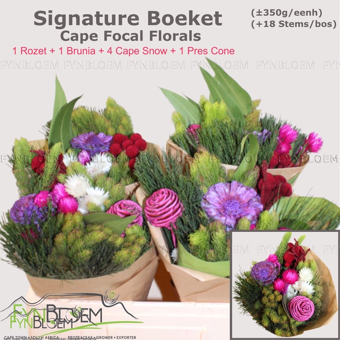 <h4>KAAPS GROE GEM IN BS</h4>