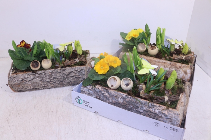 <h4>ARR TUINPLANTEN</h4>