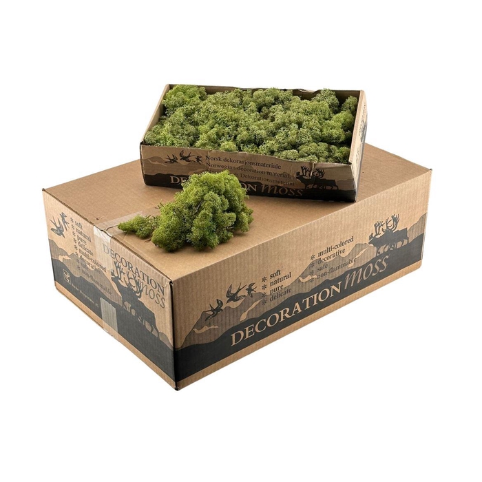 <h4>Ijslandsmos Midden Groen</h4>