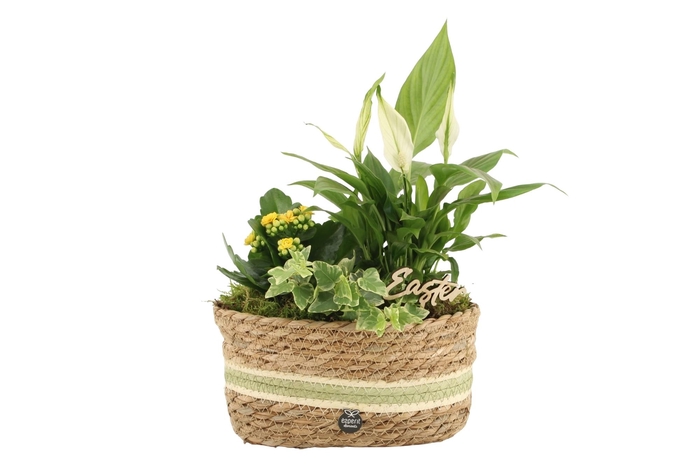 <h4>70837: Easter arrangement</h4>