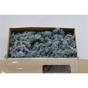 Mos Reindeer Moss Blue Box 500gr