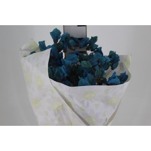 FLOR DE PRIMAVERA DESIDRATADA AZUL