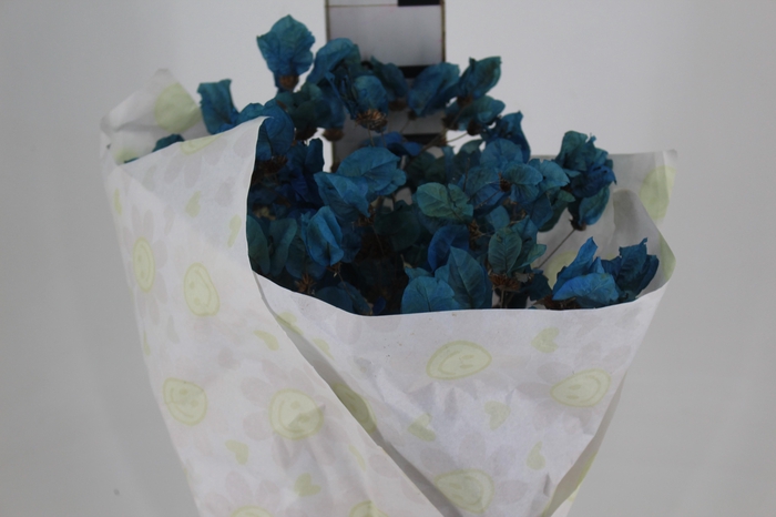 <h4>FLOR DE PRIMAVERA DESIDRATADA AZUL</h4>