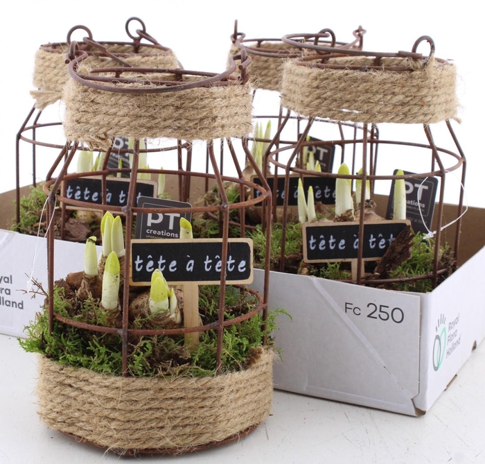 <h4>ARR N TETE A TETE</h4>