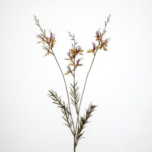 AF Gaura spray x3 L89cm L.ye