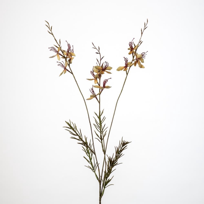 <h4>AF Gaura spray x3 L89cm L.ye</h4>
