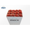Echeveria Purpurea Sparkling Paint Red (mecx) Mecx