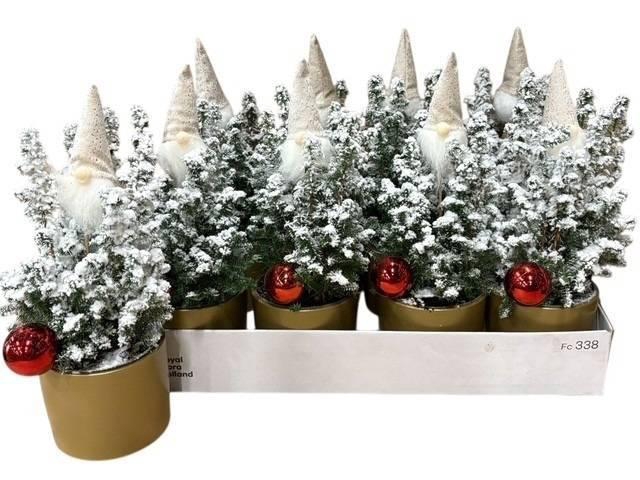 <h4>KERSTBOOM VERSIERD</h4>