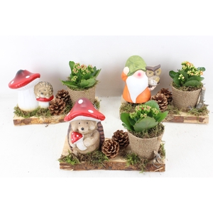 arr2 PL - Plank herfst deco mix