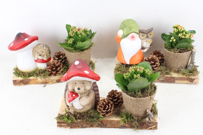 <h4>arr2 PL - Plank herfst deco mix</h4>