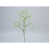 GYPSOPHILA DYNAMIC LOVE MIN 250 GRAMAS