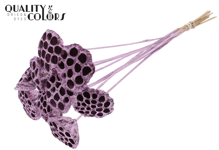 Lotus 5-7cm on stem Metallic Pink