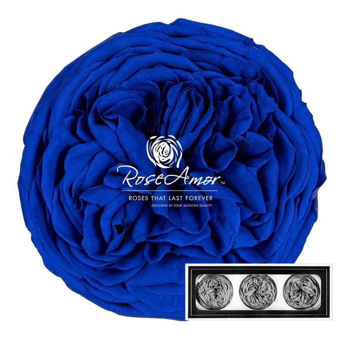 <h4>Kabukyza Per 3 Blu03</h4>